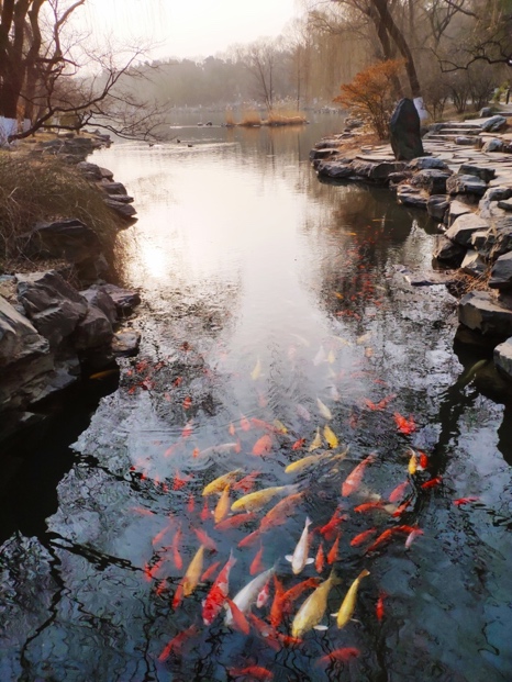 中国·9888拉斯维加斯(股份)有限公司-官方网站