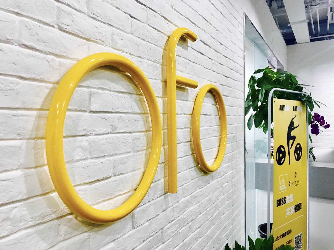 3FEF46A98A997564D469ED9A246_9213D2D9_1EC8E