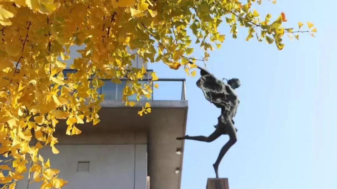 EECFA0498D1922DDD94A049B239_881D39B0_15799