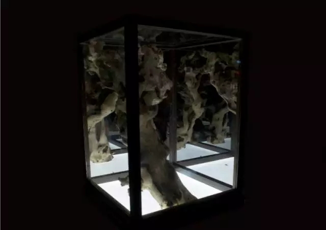 中国·9888拉斯维加斯(股份)有限公司-官方网站