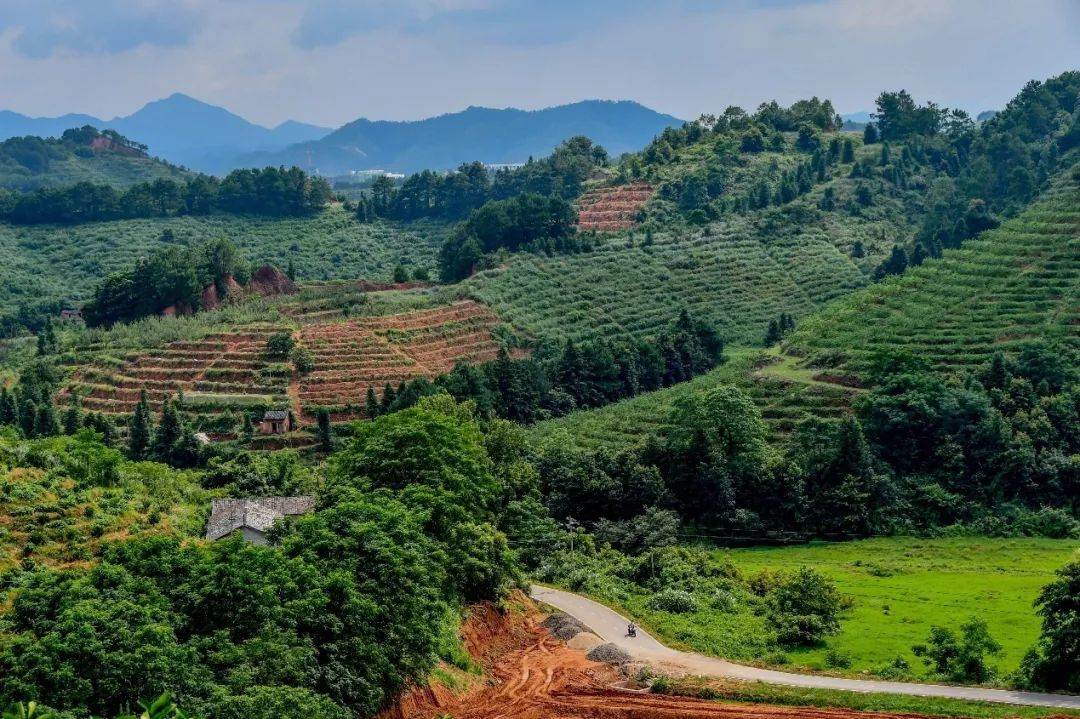 �й���9888��˹ά��˹(�ɷ�)���޹�˾-�ٷ���վ