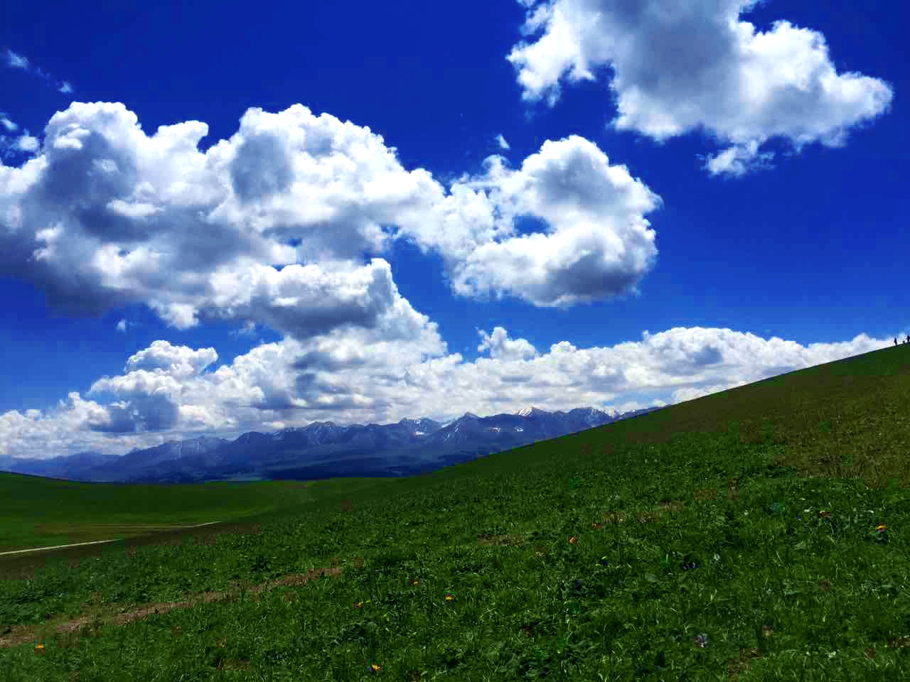 中国·9888拉斯维加斯(股份)有限公司-官方网站