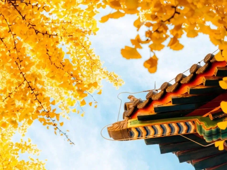 中国·9888拉斯维加斯(股份)有限公司-官方网站