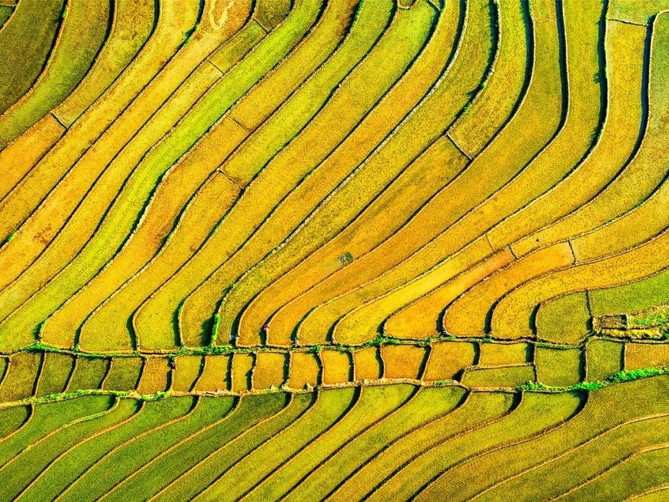 中国·9888拉斯维加斯(股份)有限公司-官方网站