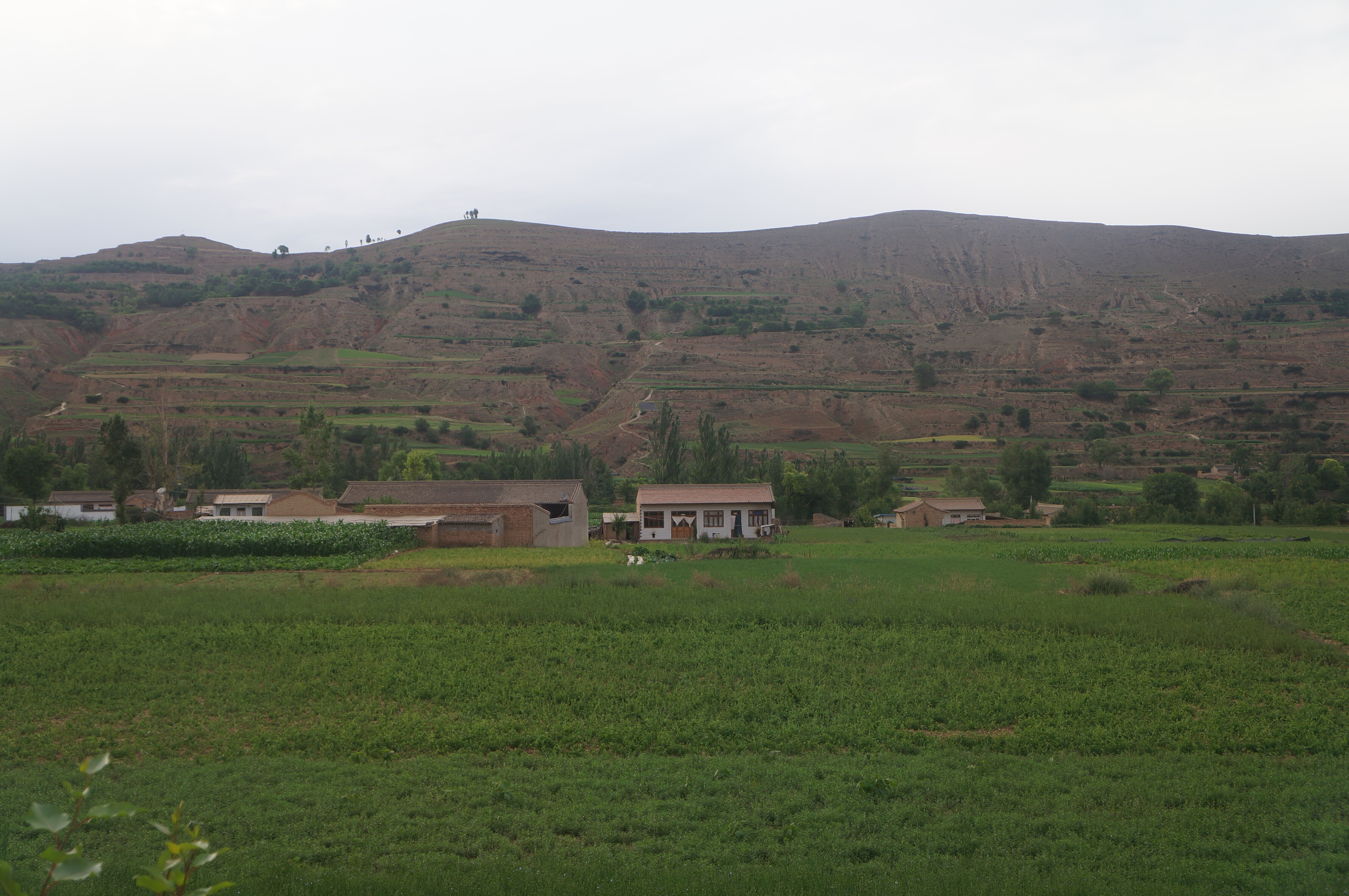 中国·9888拉斯维加斯(股份)有限公司-官方网站