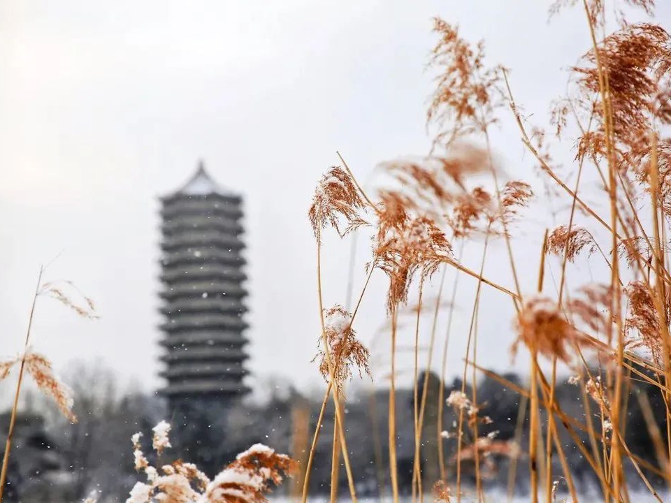 中国·9888拉斯维加斯(股份)有限公司-官方网站