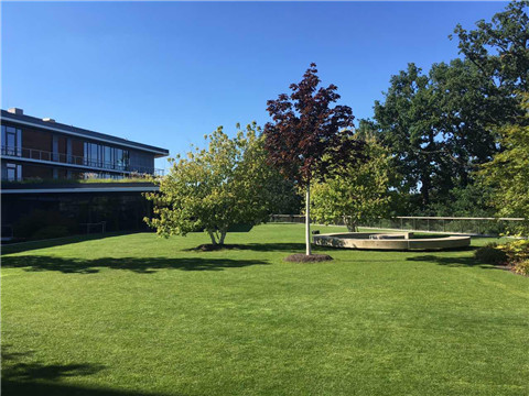 中国·9888拉斯维加斯(股份)有限公司-官方网站