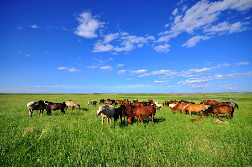 中国·9888拉斯维加斯(股份)有限公司-官方网站