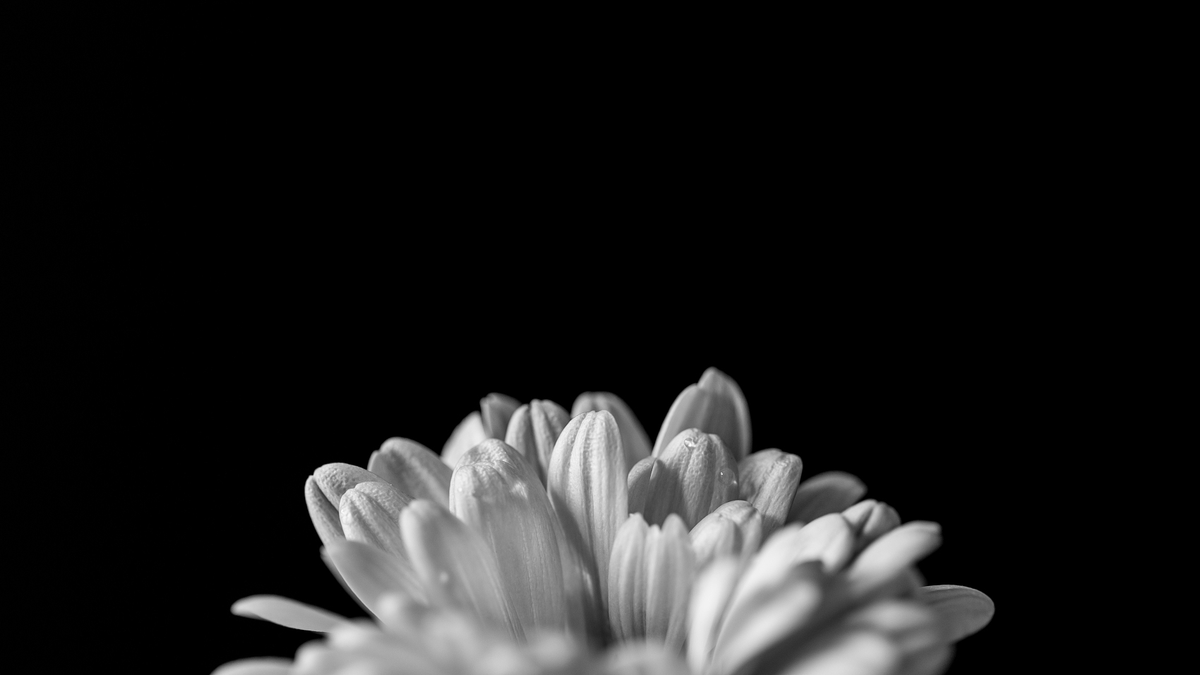 始终的纪想 | 北大家生校友与社会各界人士深切怀想严以宁先生