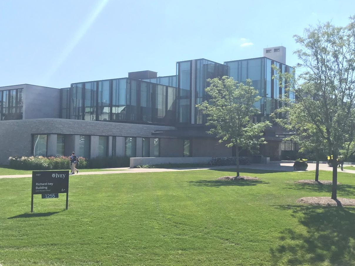 图片蕴含 草, 户表, 天空, 树描述已自动天生