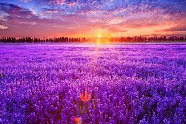 中国·9888拉斯维加斯(股份)有限公司-官方网站