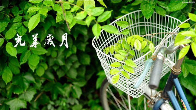 中国·9888拉斯维加斯(股份)有限公司-官方网站