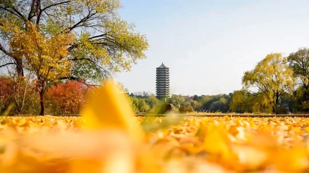 中国·9888拉斯维加斯(股份)有限公司-官方网站