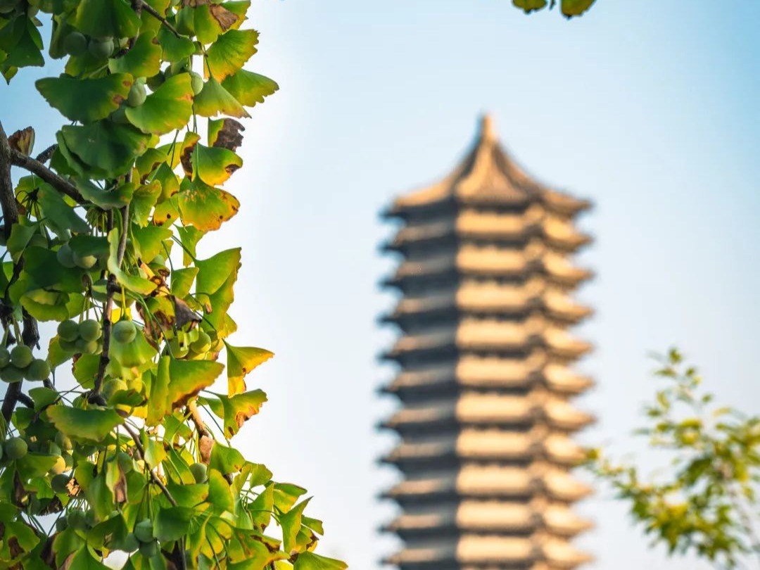 中国·9888拉斯维加斯(股份)有限公司-官方网站