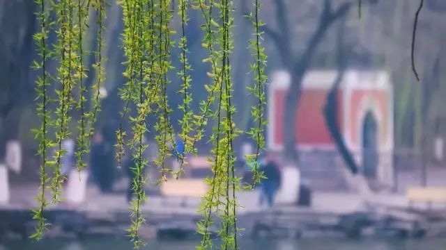 中国·9888拉斯维加斯(股份)有限公司-官方网站