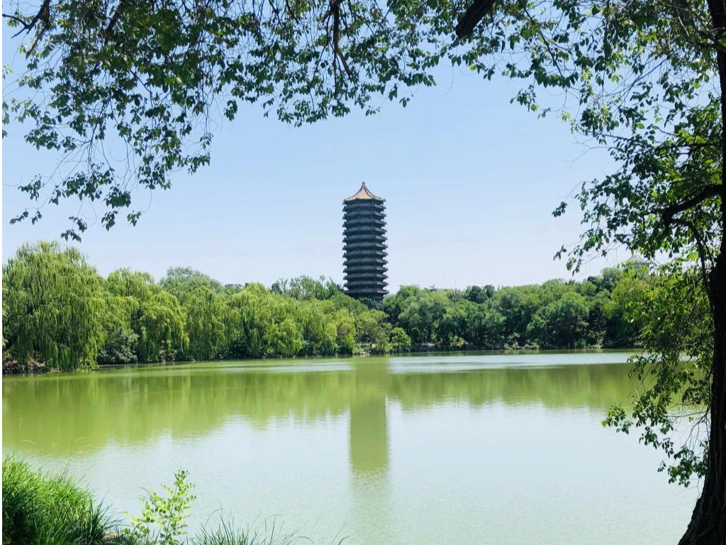 杰出回首 | 【思想汇·行动派】职业分享会