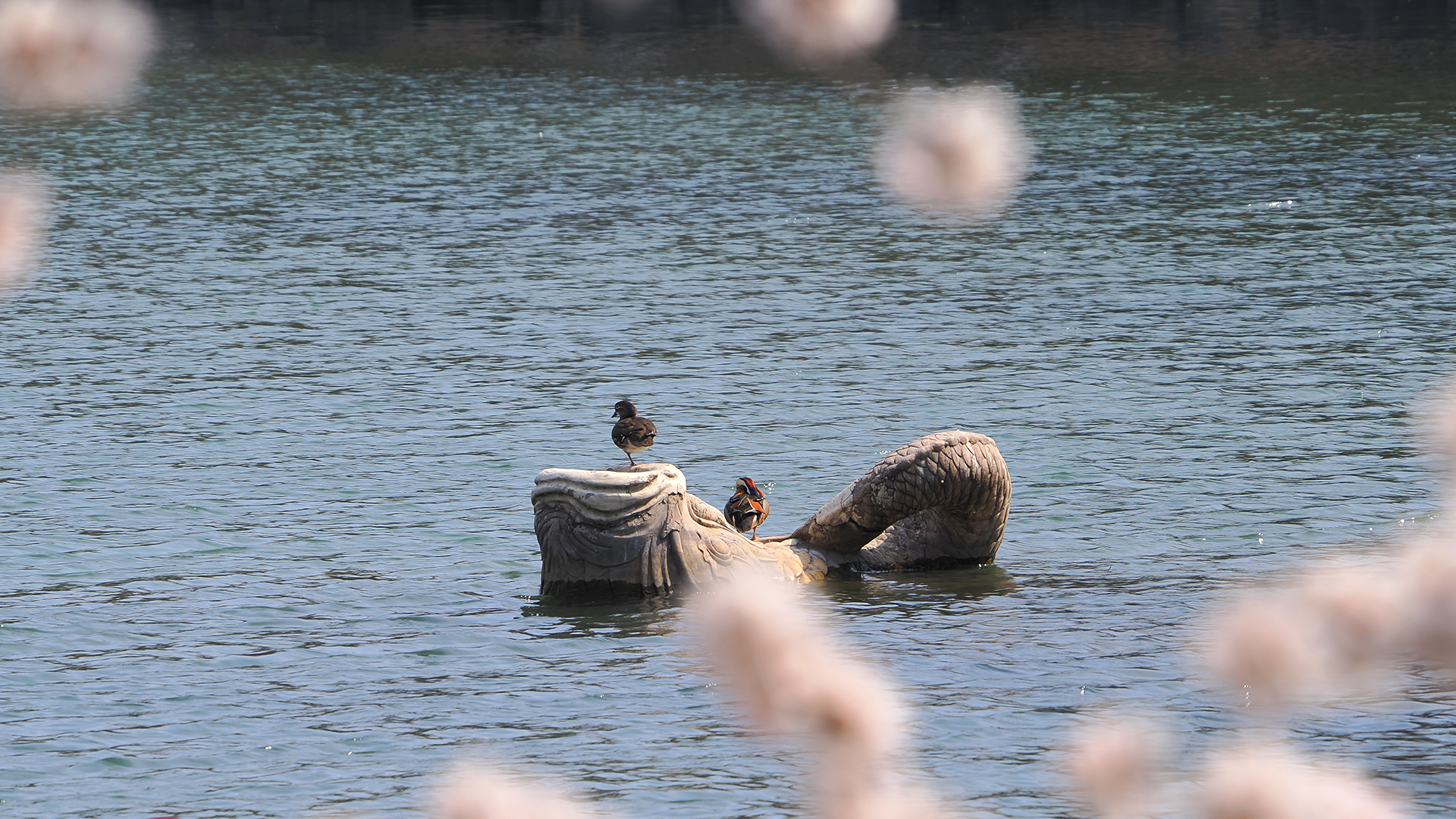 中国·9888拉斯维加斯(股份)有限公司-官方网站